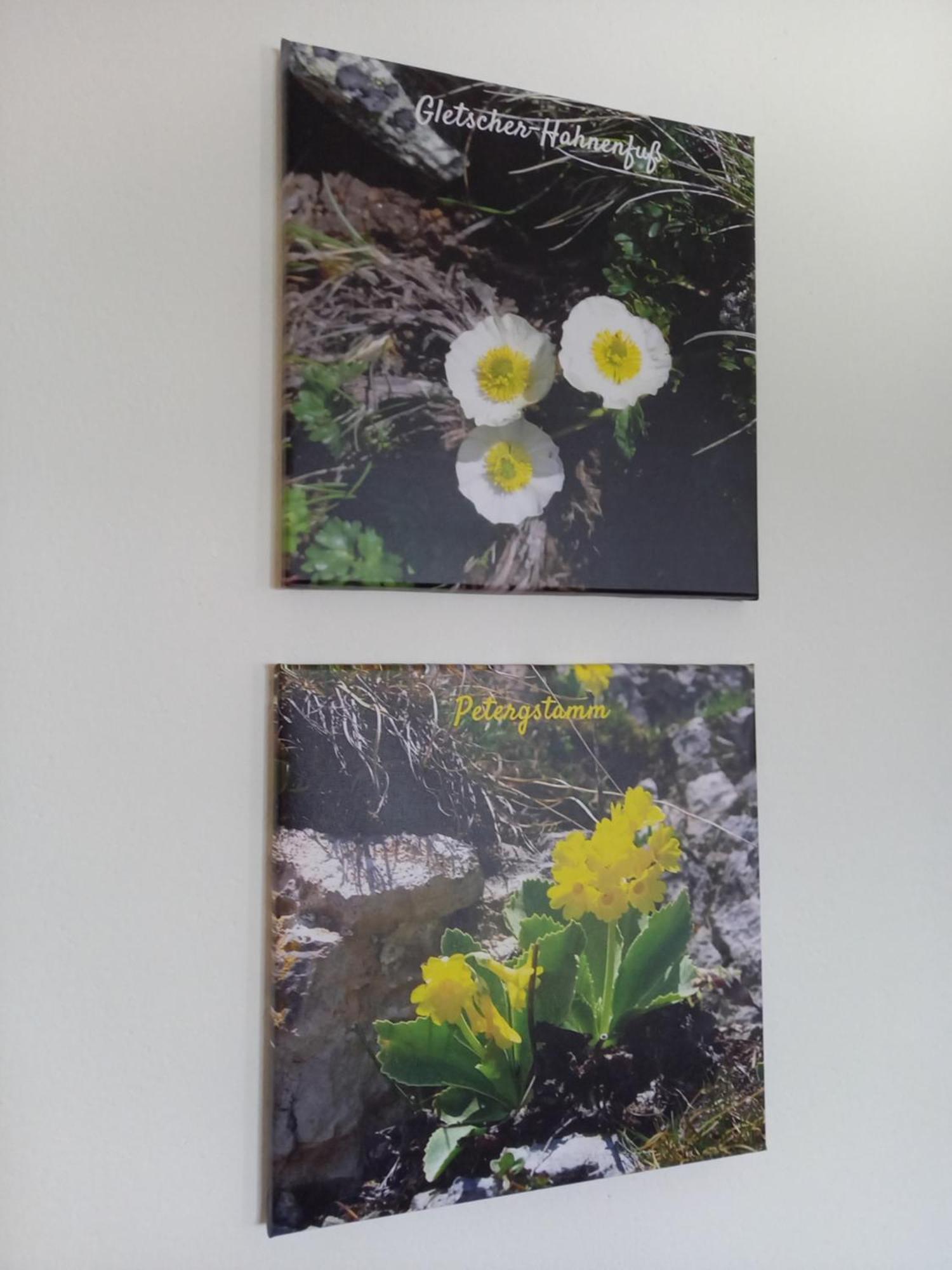 Ferienhaus Schwab Aich  Zimmer foto